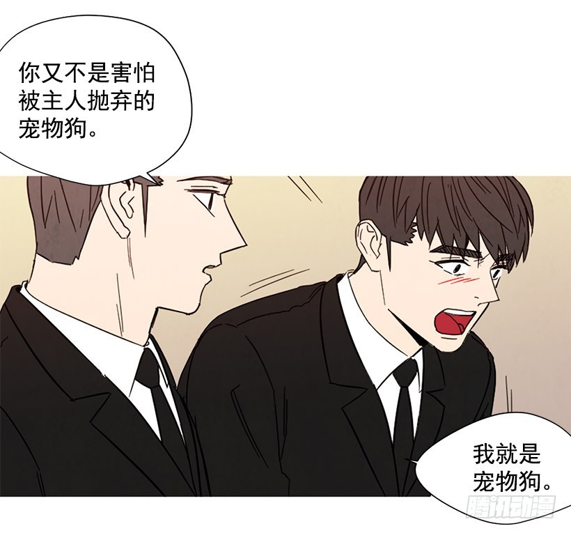 《宠物狗的规则》母亲丧礼 第9页