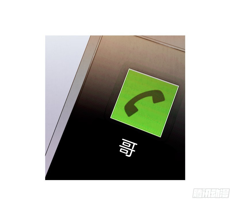 《宠物狗的规则》巨额存款 第38页
