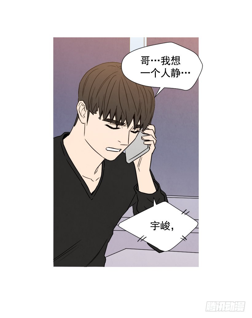 《宠物狗的规则》巨额存款 第41页