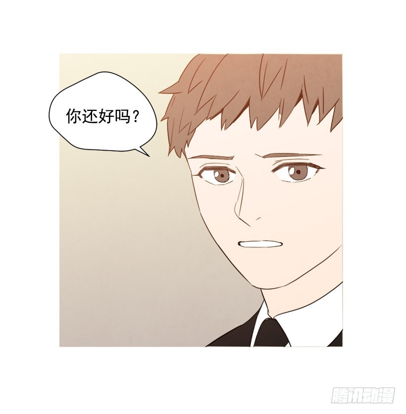 《宠物狗的规则》巨额存款 第48页