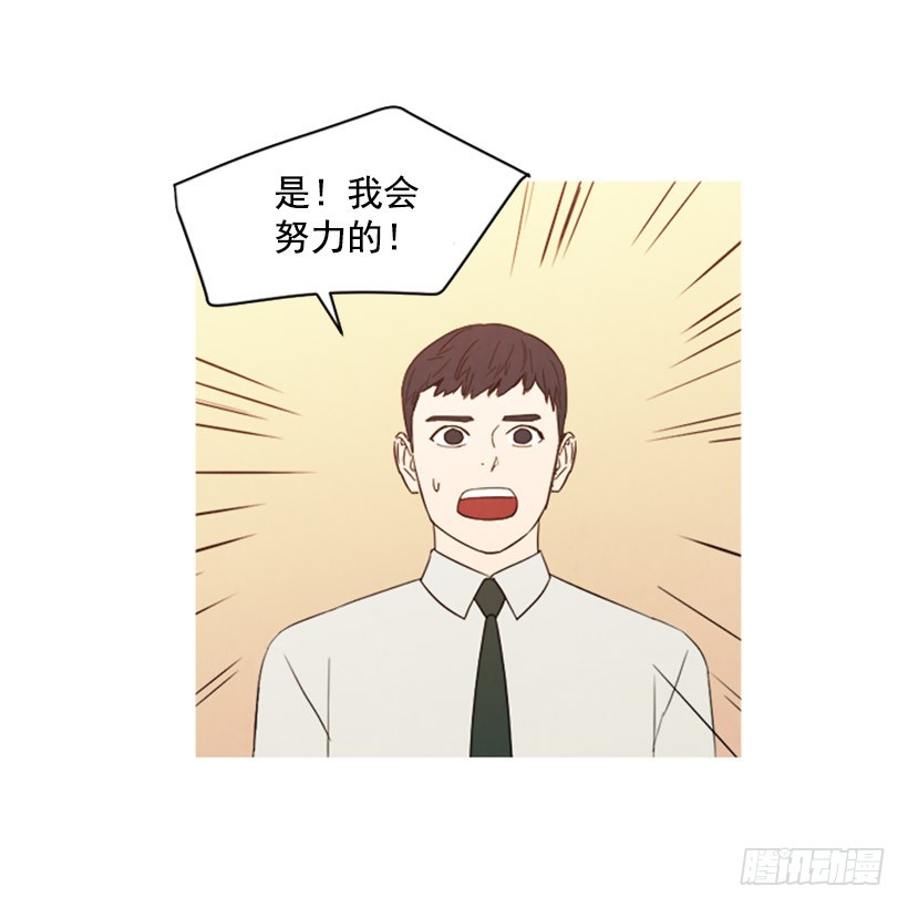 《宠物狗的规则》婚后狗粮 第3页