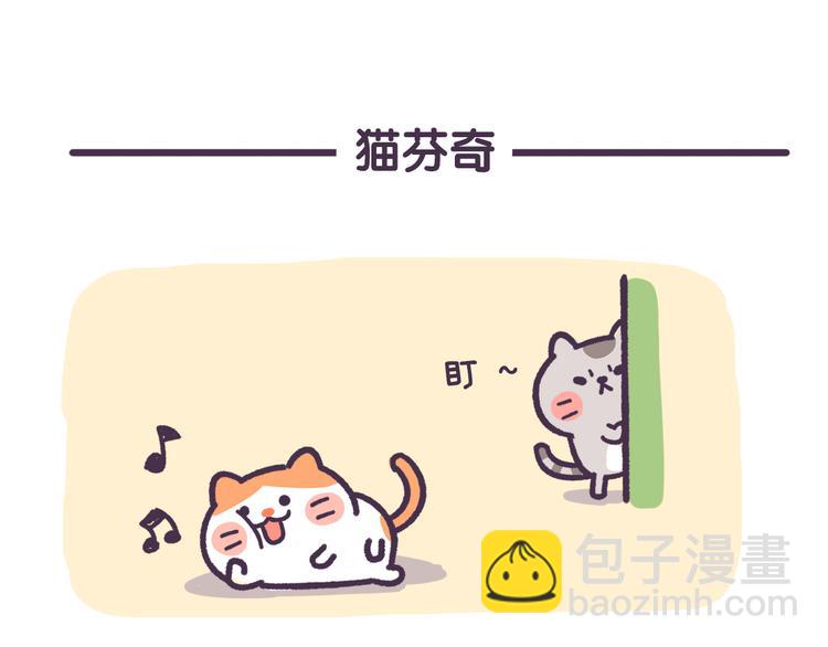 《滚开，我要先萌一会儿！》第1话 怎样做猫咪便当 第7页