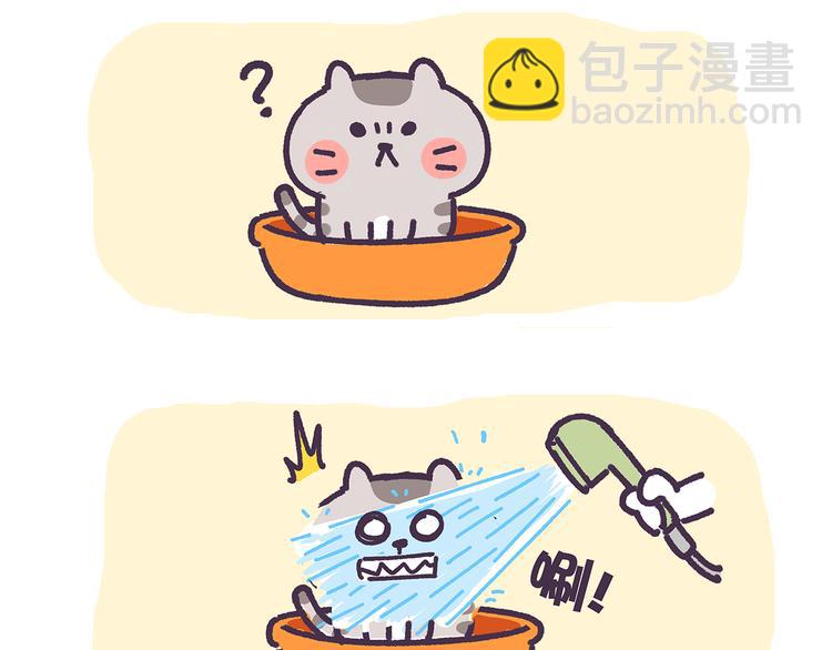 《滚开，我要先萌一会儿！》第15话 养猫人才懂的无奈差异 第2页