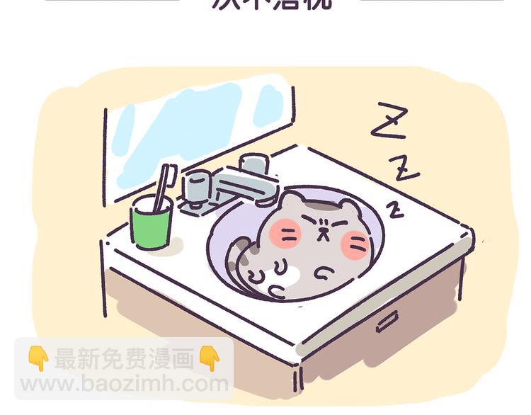 《滚开，我要先萌一会儿！》第15话 养猫人才懂的无奈差异 第7页