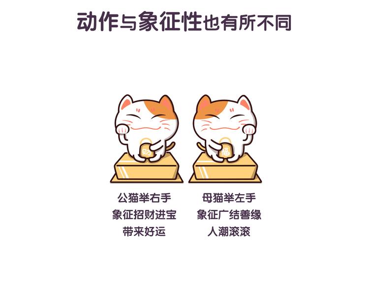 《滚开，我要先萌一会儿！》第32话 猫的报恩 第5页