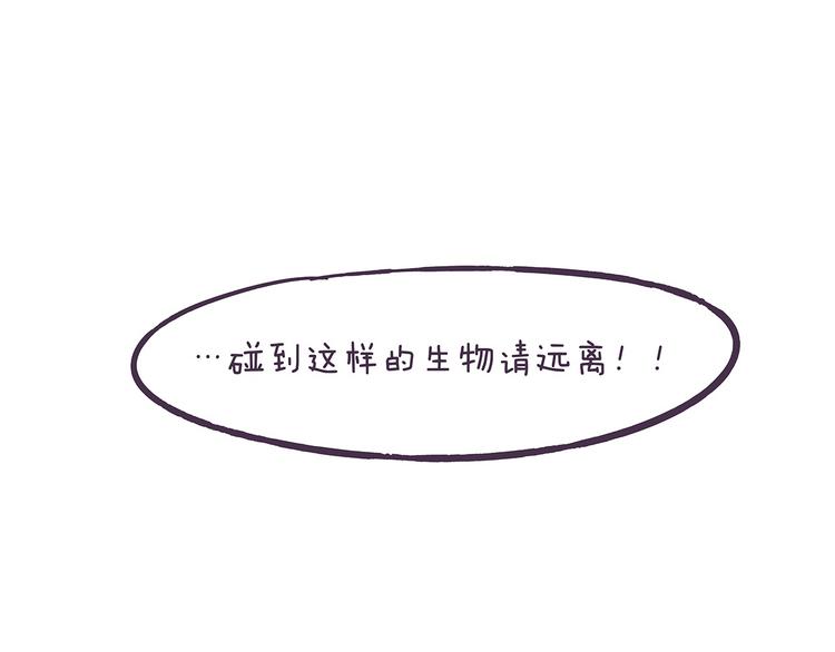 《滚开，我要先萌一会儿！》第39话 别点！有剧毒！ 第4页