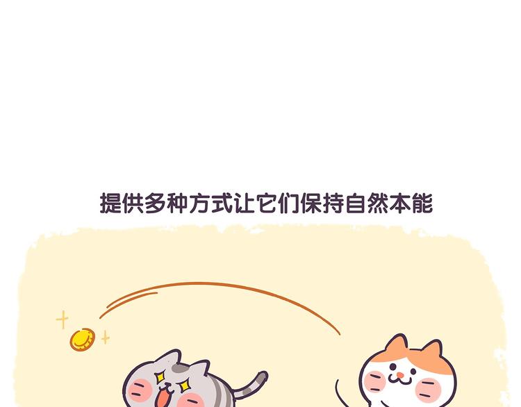 《滚开，我要先萌一会儿！》第41话 铲屎官必读 第5页