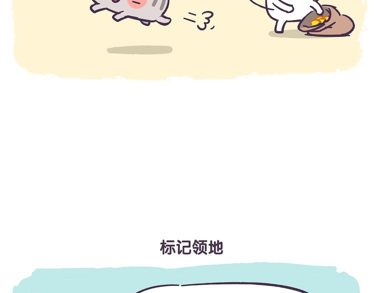 《滚开，我要先萌一会儿！》第41话 铲屎官必读 第6页
