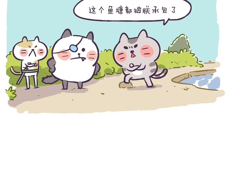 《滚开，我要先萌一会儿！》第41话 铲屎官必读 第7页