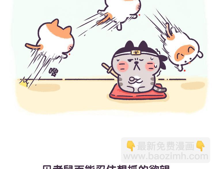 《滚开，我要先萌一会儿！》第44话 我不是个记仇的喵 第13页