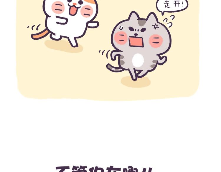 《滚开，我要先萌一会儿！》第46话 无处不在 第14页