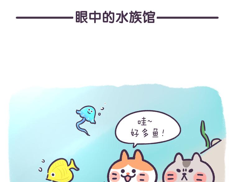《滚开，我要先萌一会儿！》第49话 眼中的水族馆 第2页