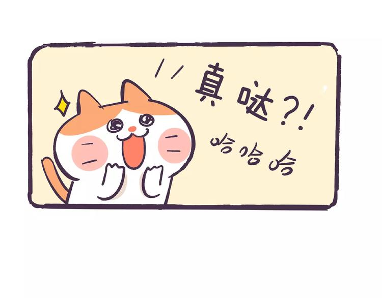 《滚开，我要先萌一会儿！》第64话 劳资看你不顺眼！ 第4页