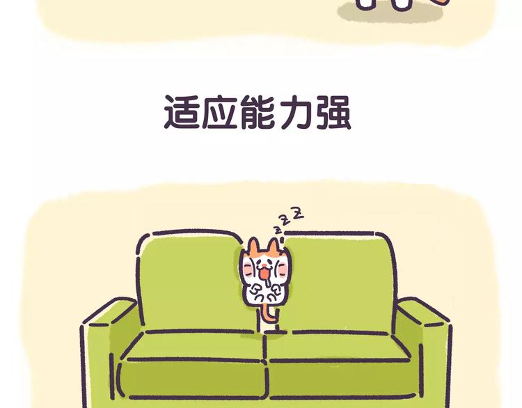 《滚开，我要先萌一会儿！》第68话 猪是一种什么样的生物 第11页