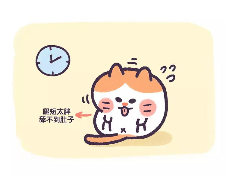 《滚开，我要先萌一会儿！》第67话 腿短了不起啊 第12页