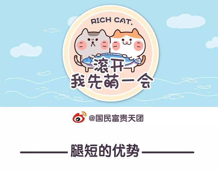 《滚开，我要先萌一会儿！》第67话 腿短了不起啊 第1页