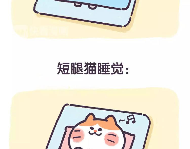 《滚开，我要先萌一会儿！》第67话 腿短了不起啊 第3页