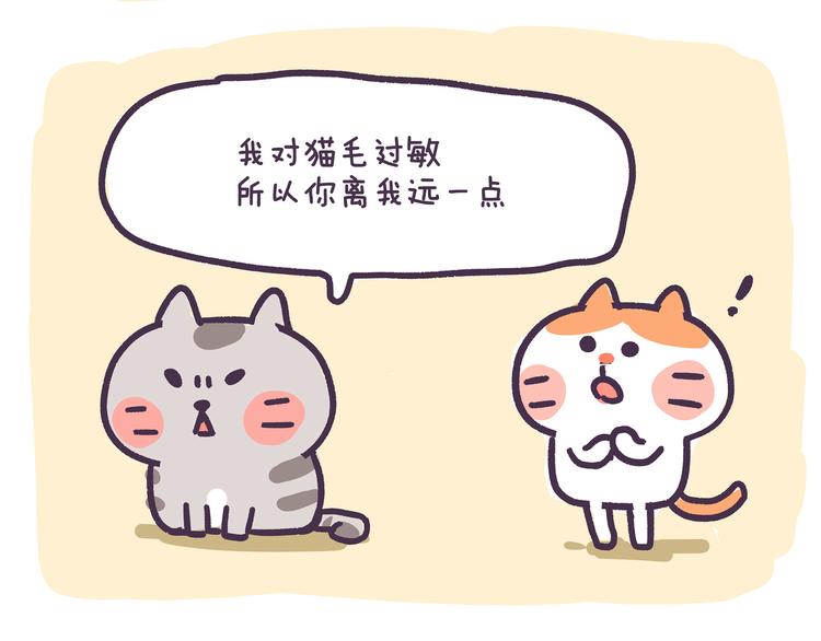 《滚开，我要先萌一会儿！》第83话 我对猫毛过敏 第3页
