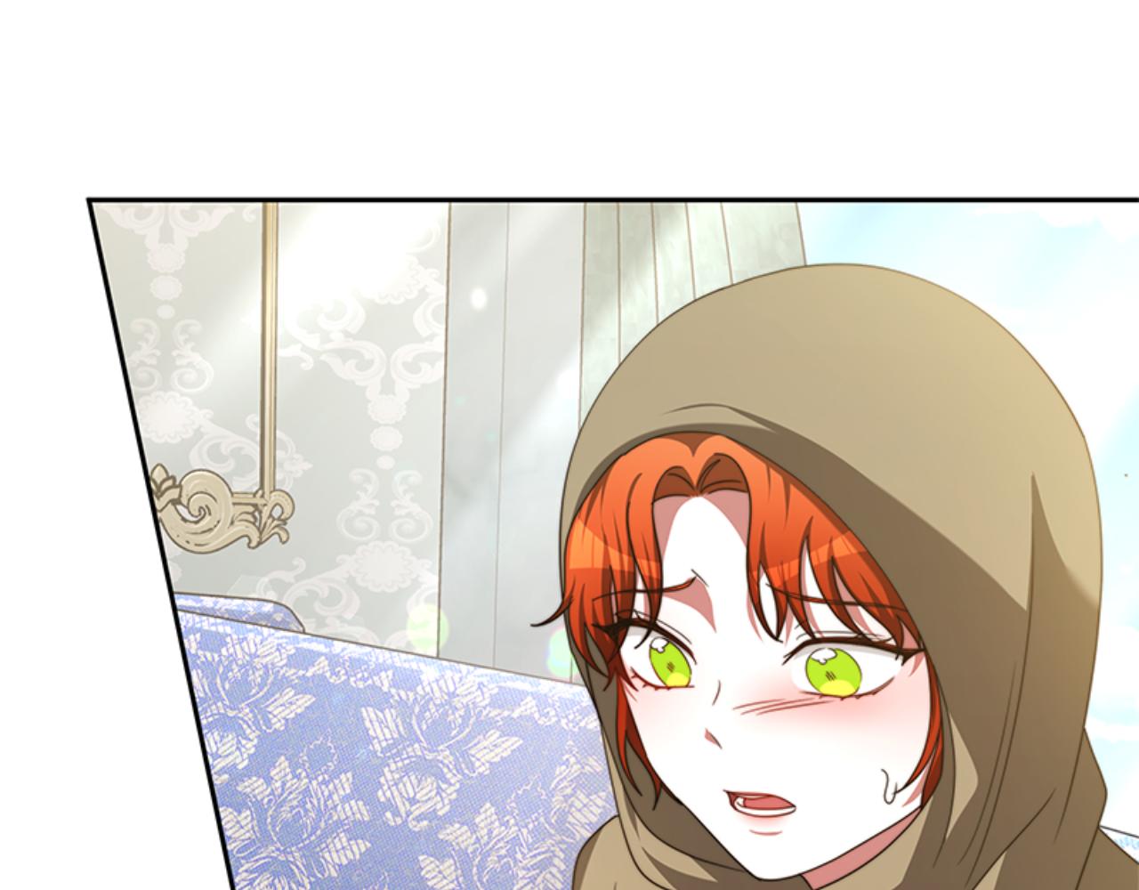 《恶女靠系统收割崇拜》完结篇 嫁给我 第43页