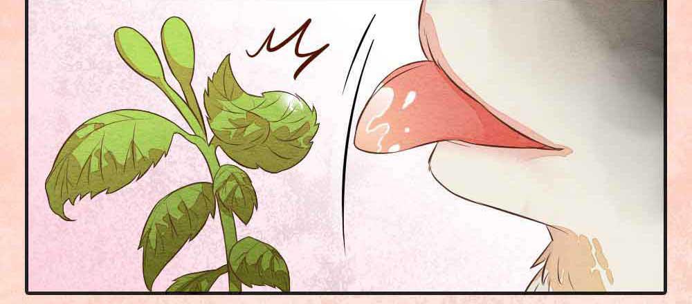《妖师传奇》【番外】狼妖龙葵草番外 第11页