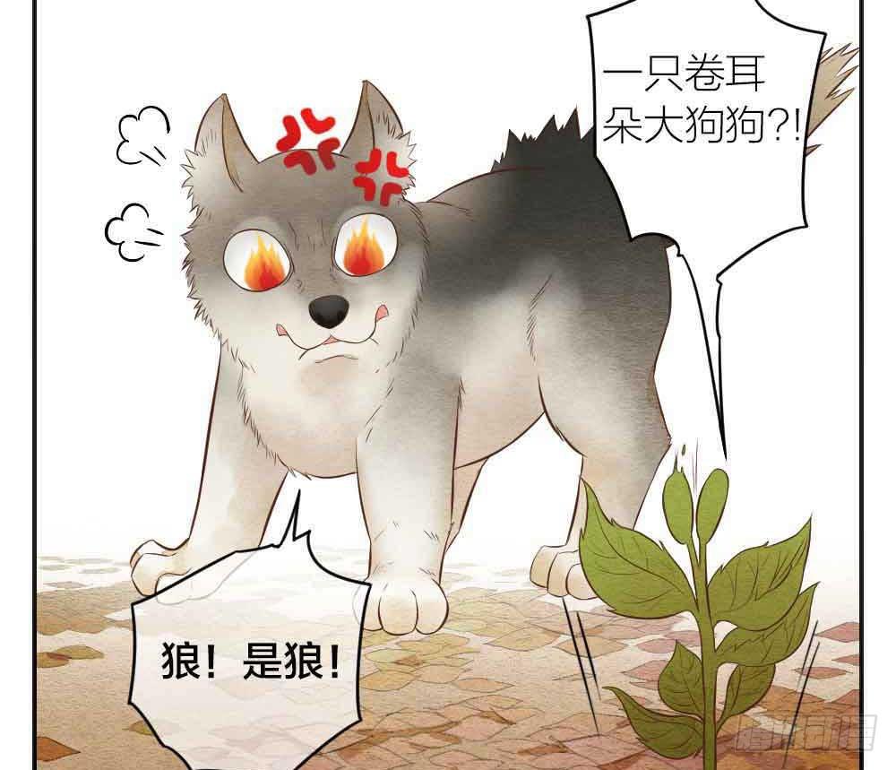 《妖师传奇》【番外】狼妖龙葵草番外 第4页