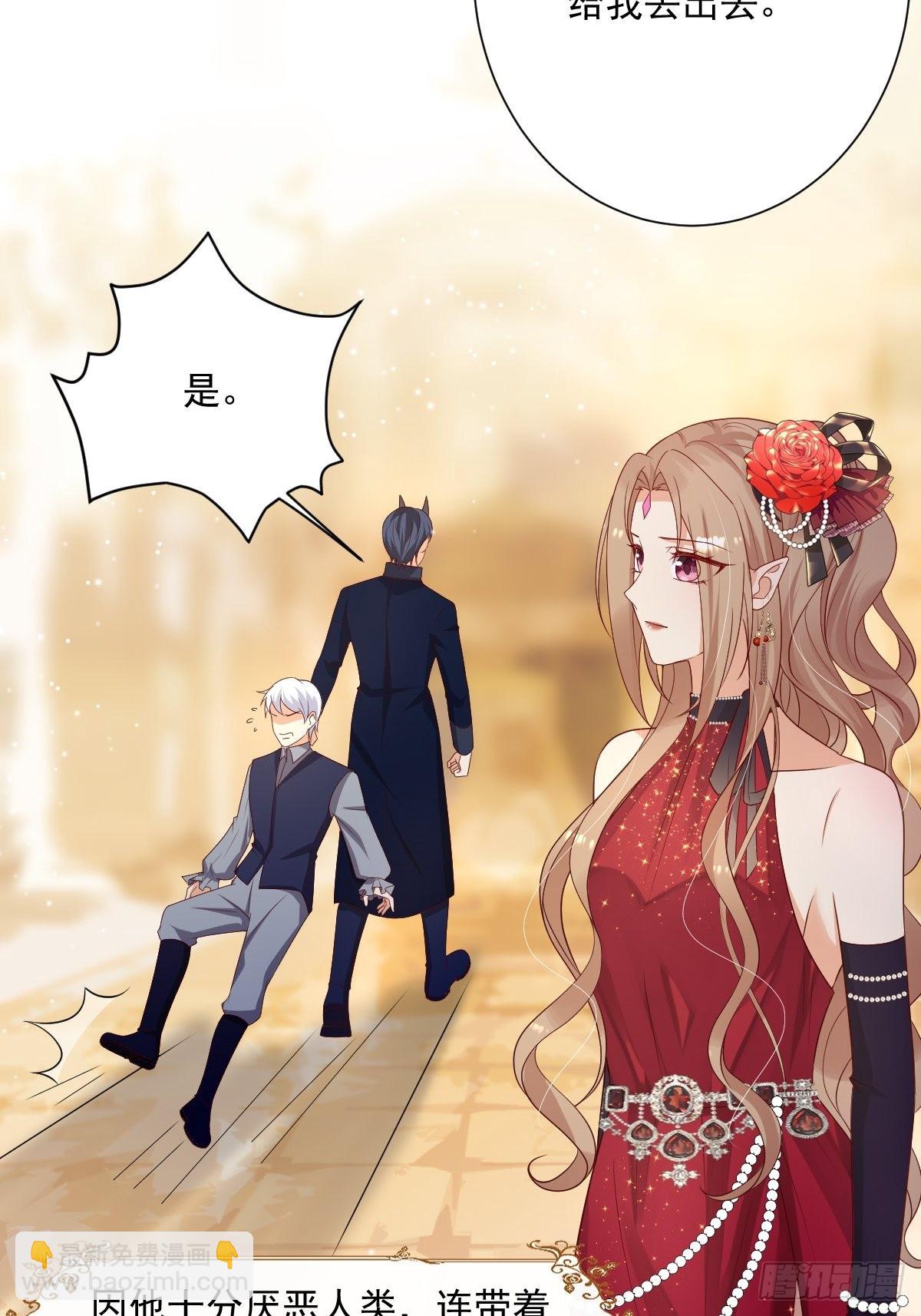 《塞壬娜的定制人生》38 魔女的回忆 第23页