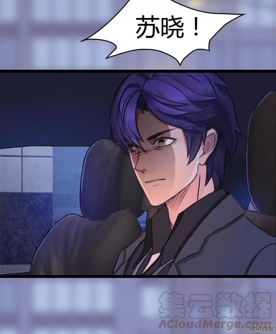 《首席娇宠小甜心》027 双面间谍 第29页