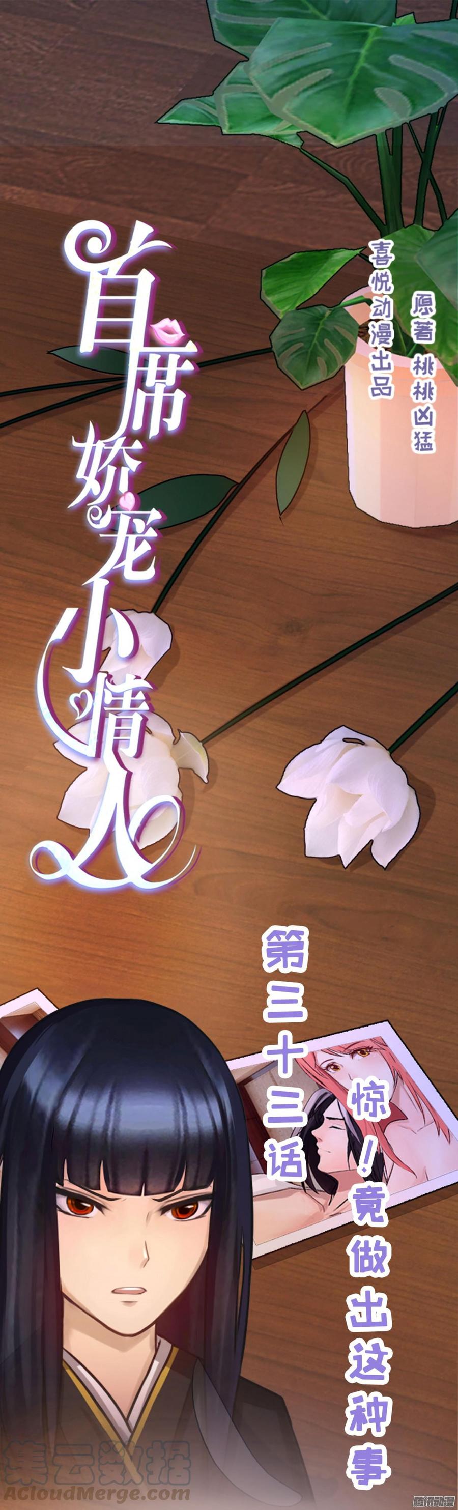 《首席娇宠小甜心》033 惊！竟做出这种事！ 第1页