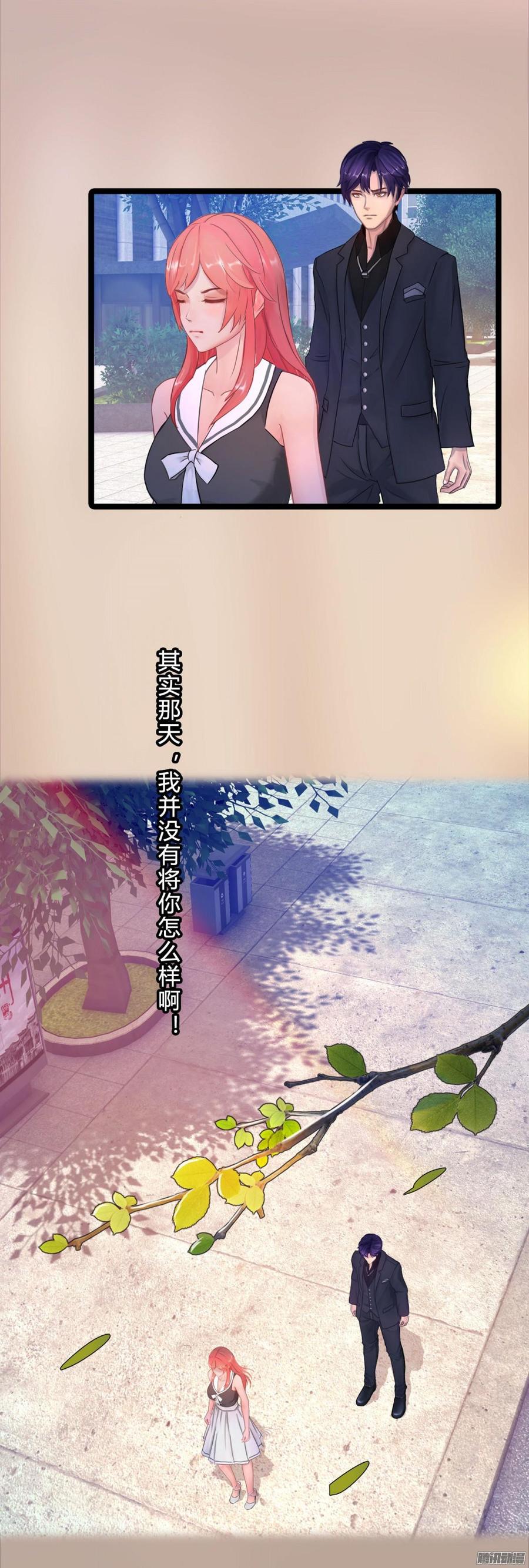 《首席娇宠小甜心》046 并不想给你生猴子 第15页