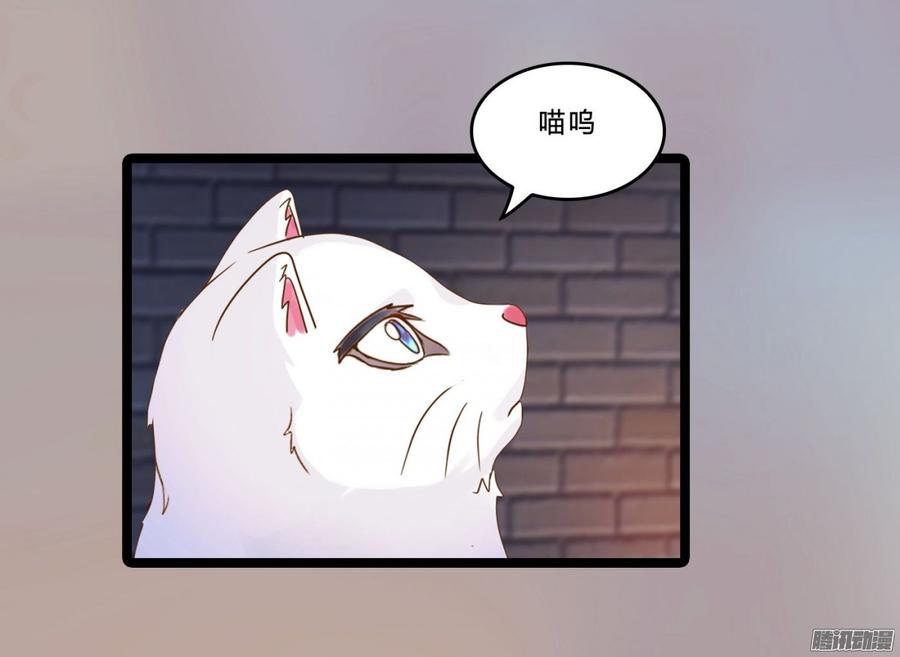 《首席娇宠小甜心》079 自作孽，不可活 第11页