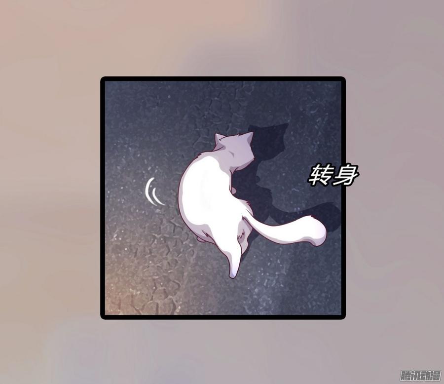 《首席娇宠小甜心》079 自作孽，不可活 第13页