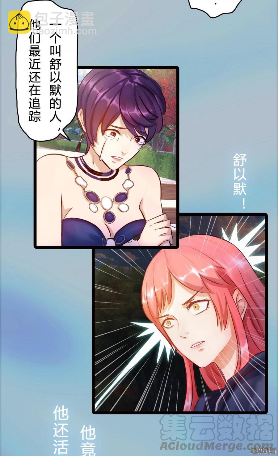 《首席娇宠小甜心》78 他们不是一个人 第13页