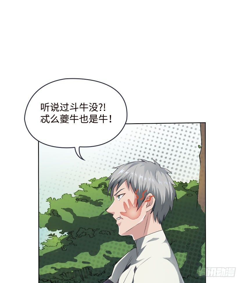《天梯战地》见包眼开 第13页
