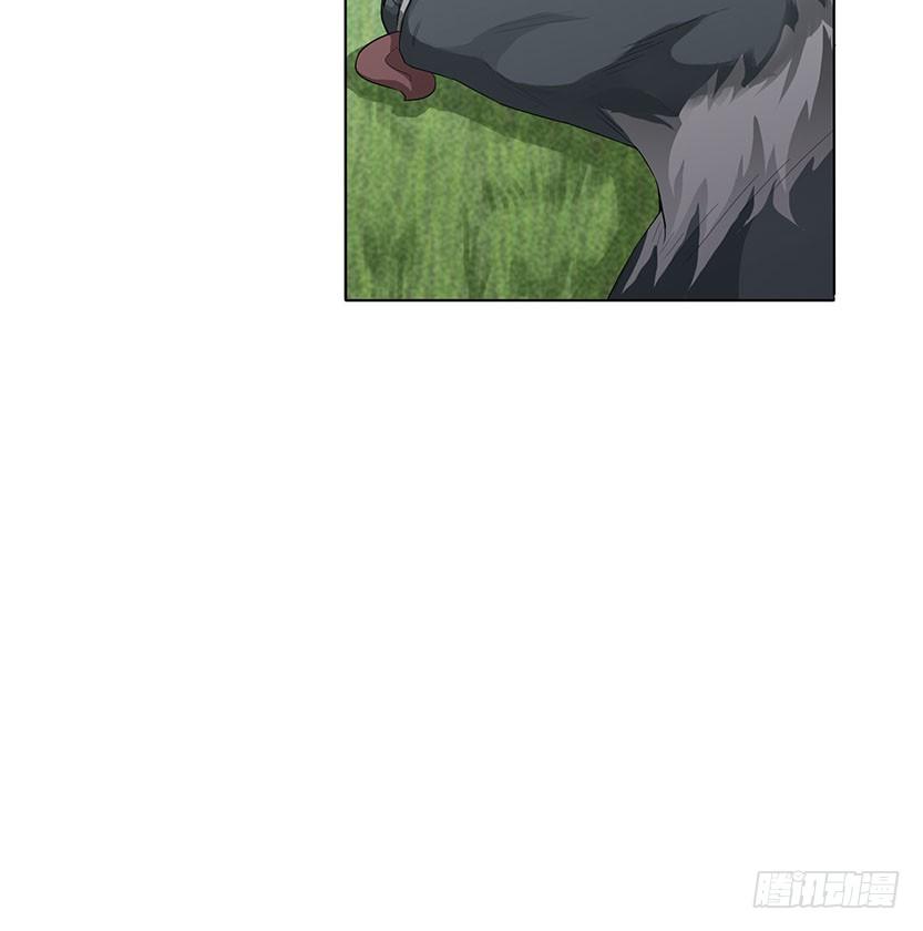 《天梯战地》见包眼开 第36页