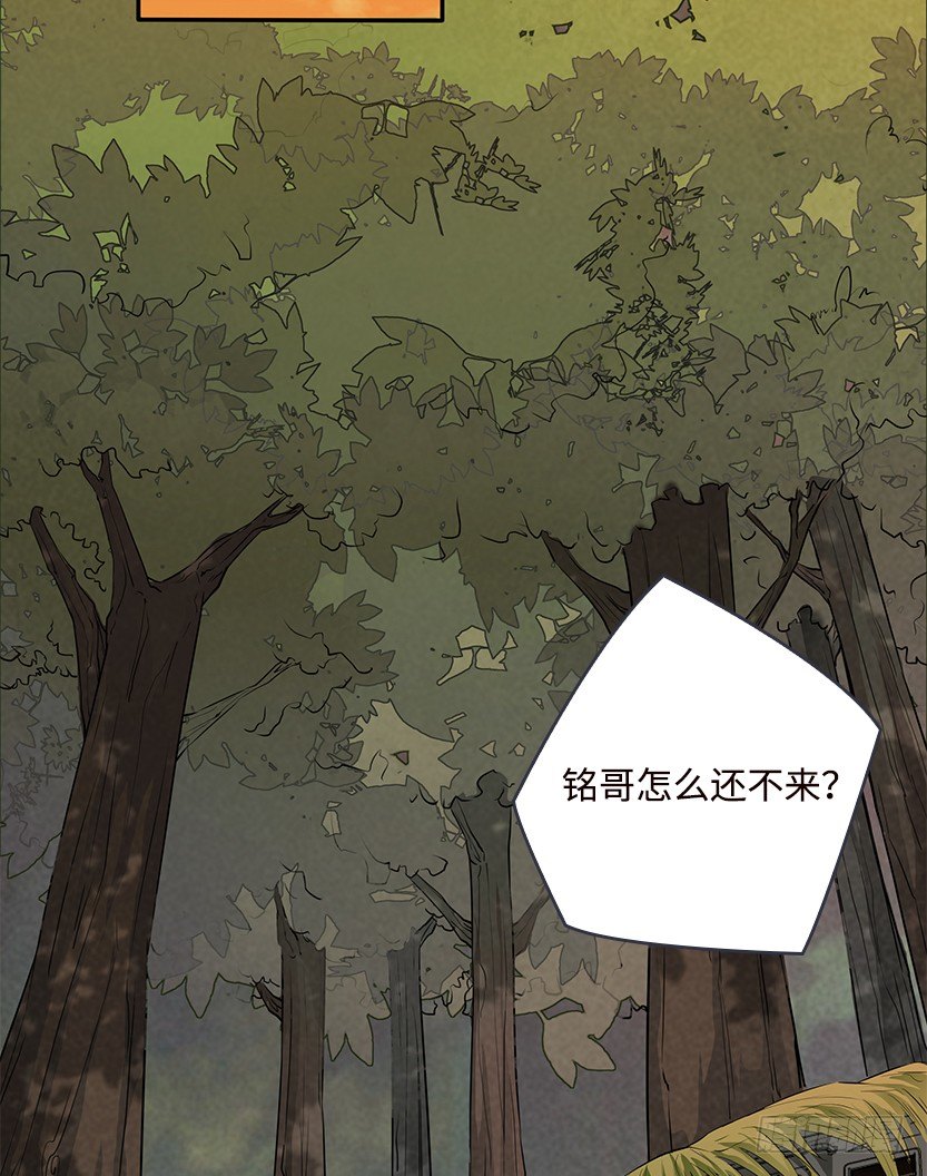 《天梯战地》第2波缩圈 第43页
