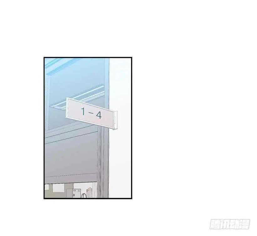 《元素法则》4.四大天王 第12页