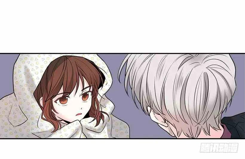 《元素法则》7.网络小说开始 第48页