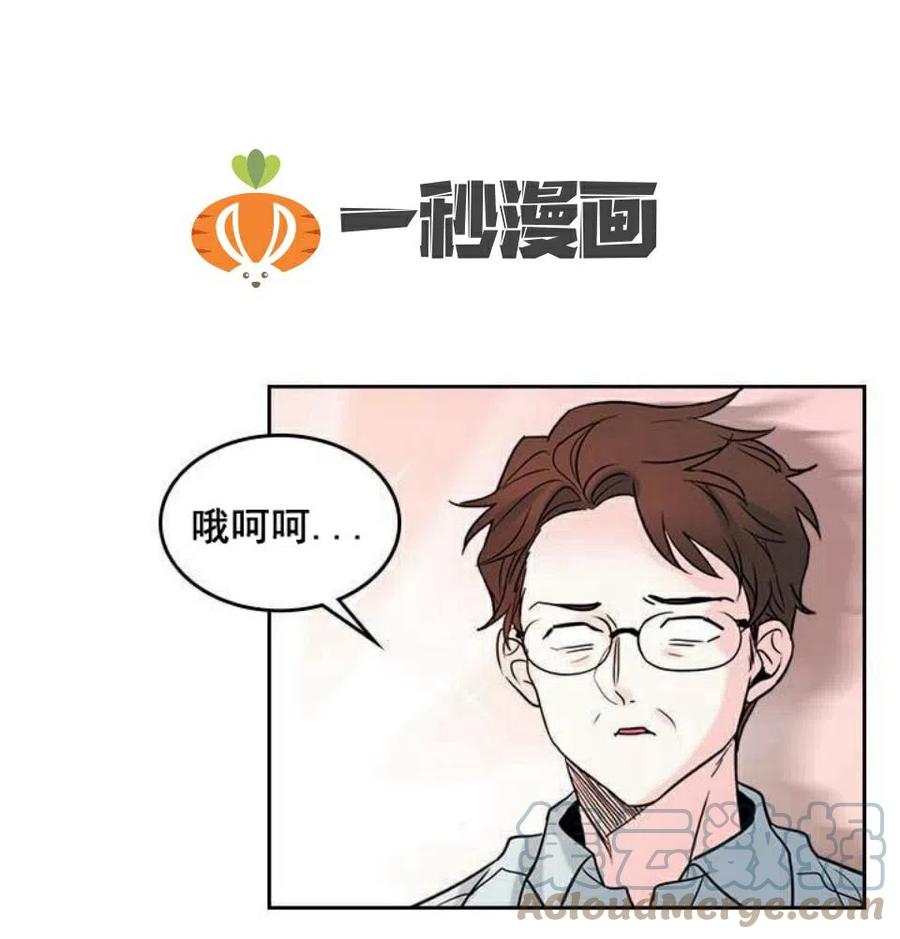 《元素法则》26 真的？假的？ 第46页