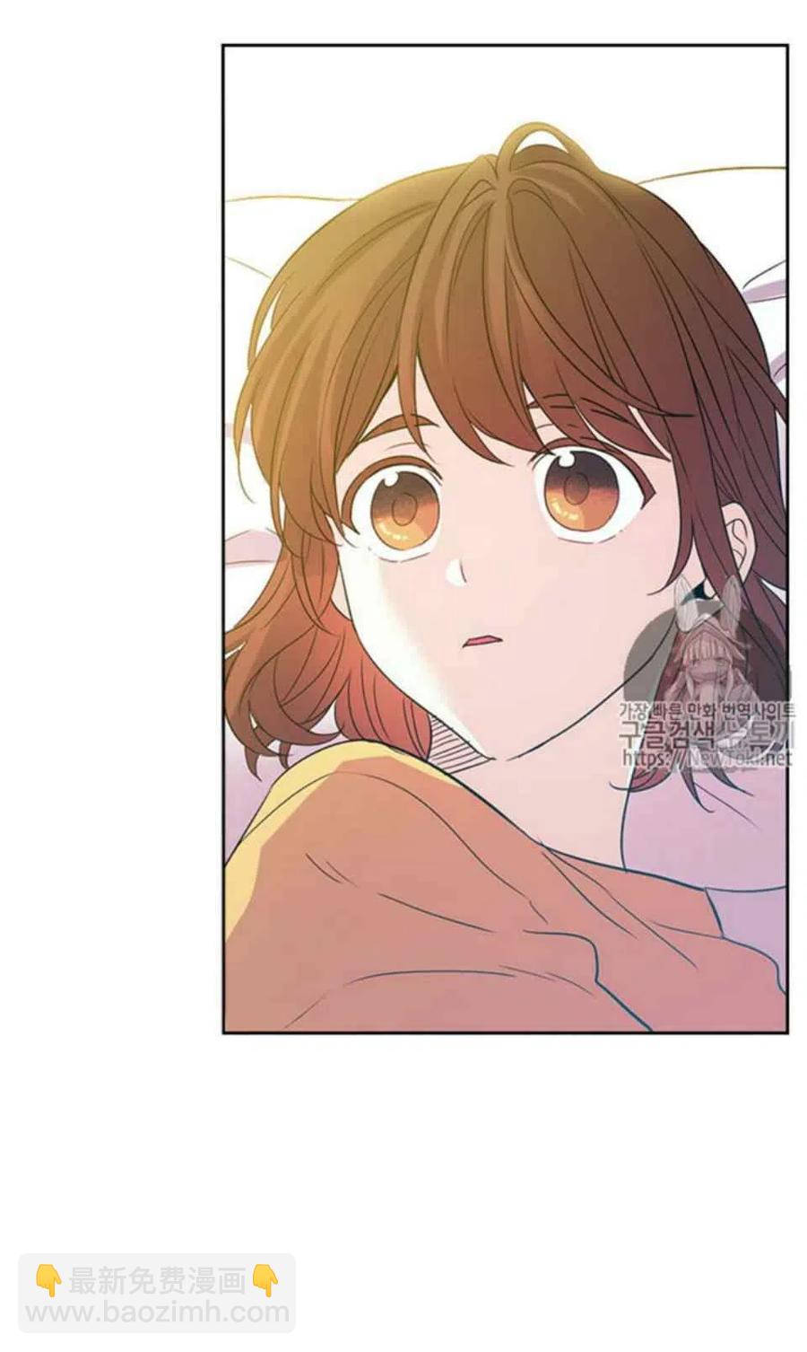 《元素法则》52 理解 第11页