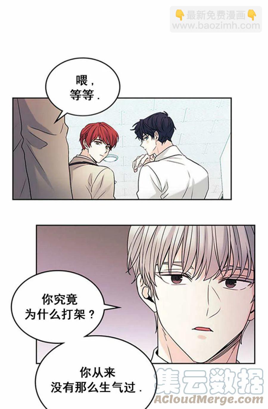 《元素法则》60.打起来了! 第49页