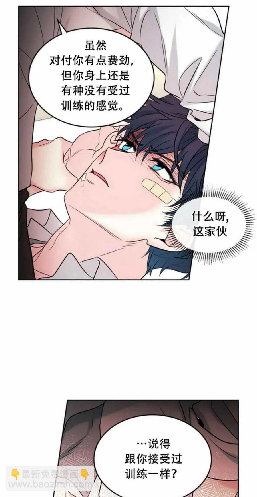 《元素法则》61.独占 第29页