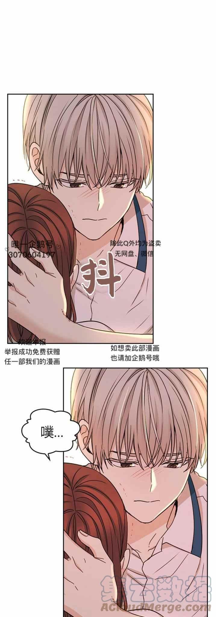 《元素法则》第104话 第17页