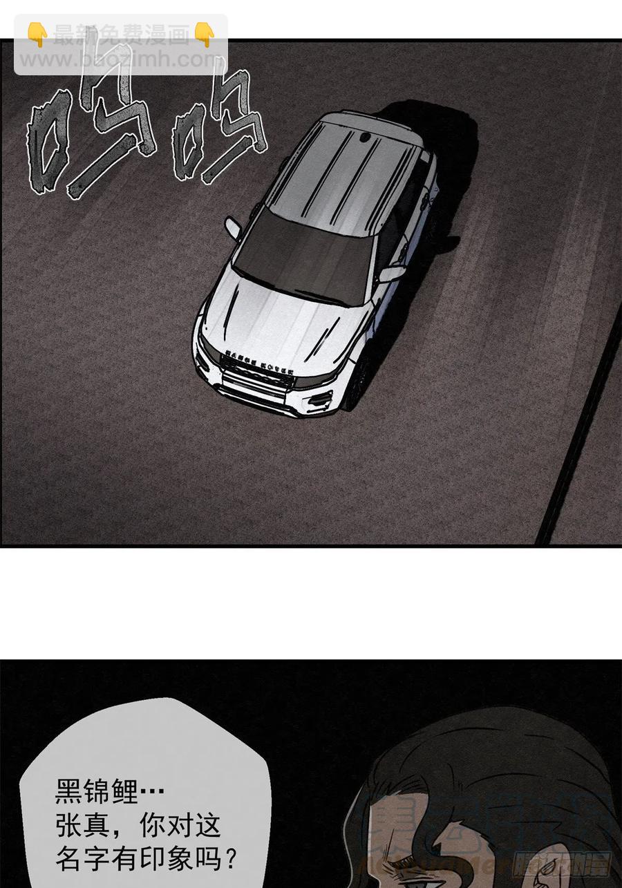 《黑锦鲤》71话 猪头杀手 第13页