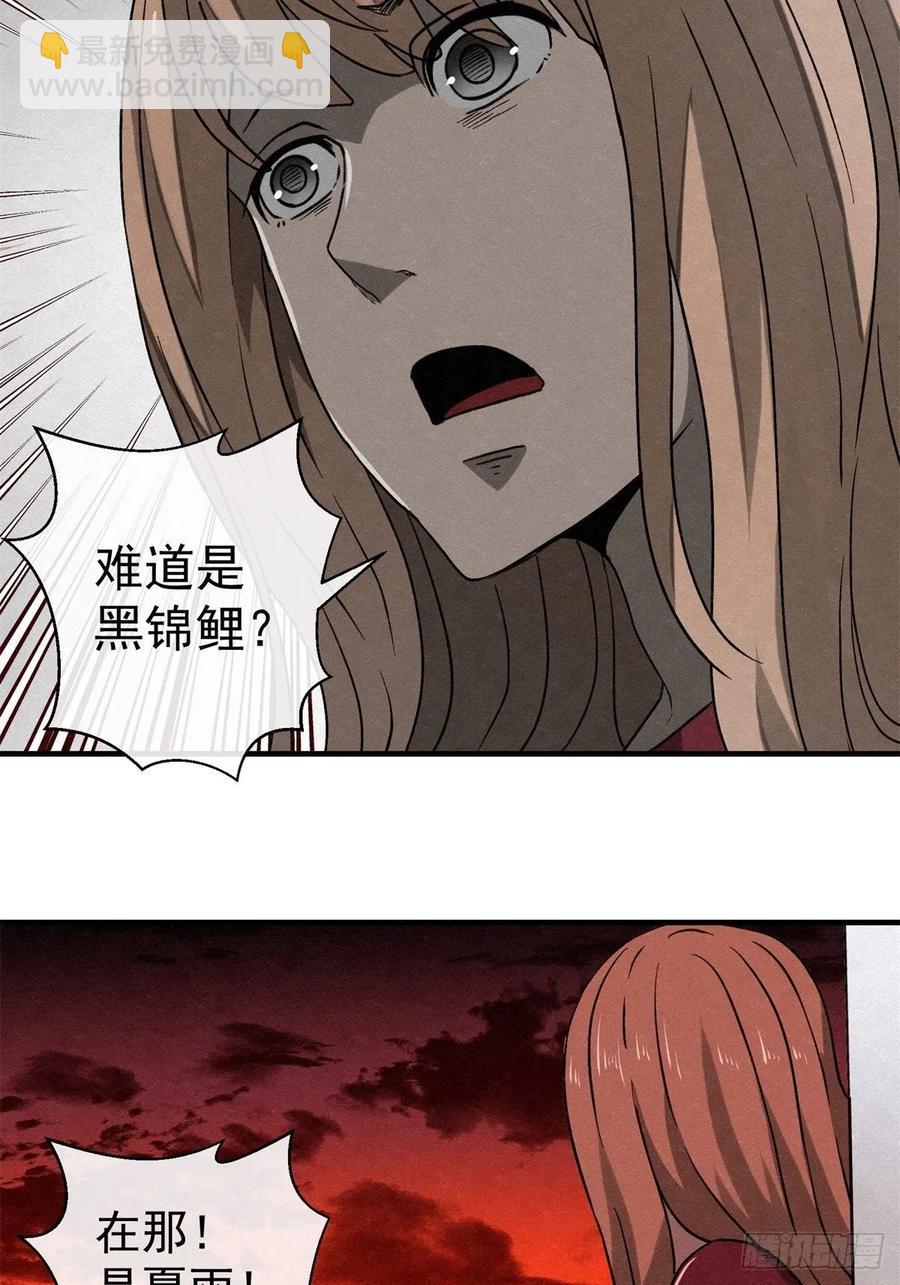 《黑锦鲤》71话 猪头杀手 第38页