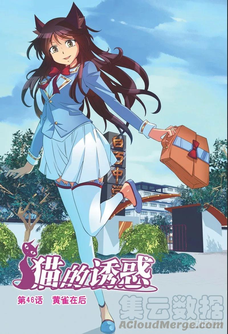 《猫的诱惑·漫画版》第136话 第1页