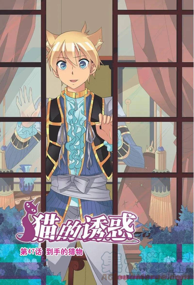 《猫的诱惑·漫画版》第139话 第1页