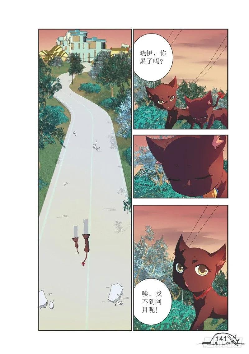 《猫的诱惑·漫画版》第144话 第2页