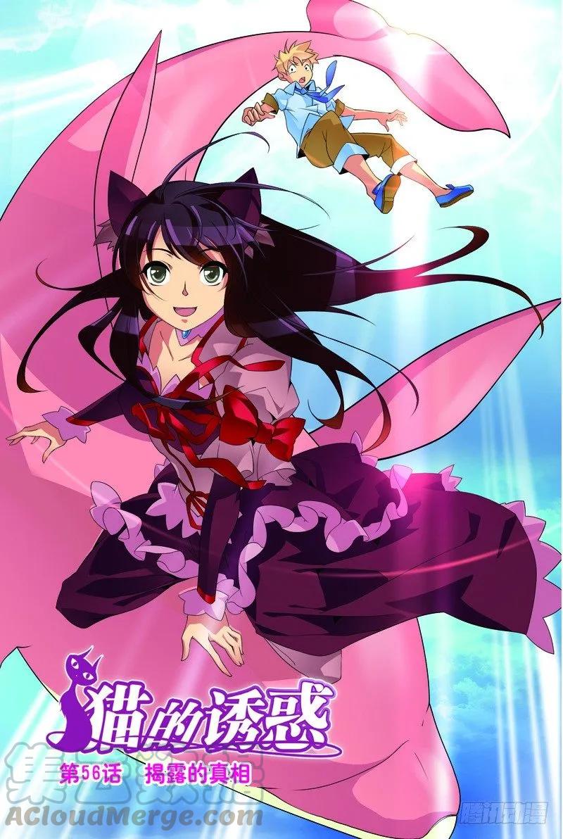 《猫的诱惑·漫画版》第166话 第1页