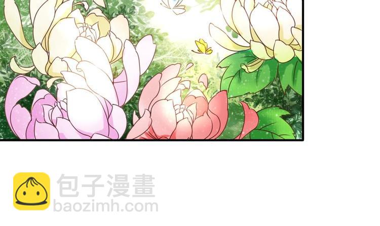 《贪财王妃夫君是个暖宝宝》第2话 梦里的王爷好帅啊！ 第9页
