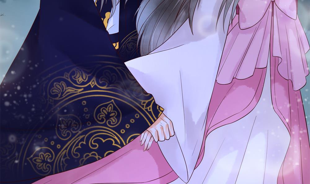 《贪财王妃夫君是个暖宝宝》第46话 深夜告白 第17页
